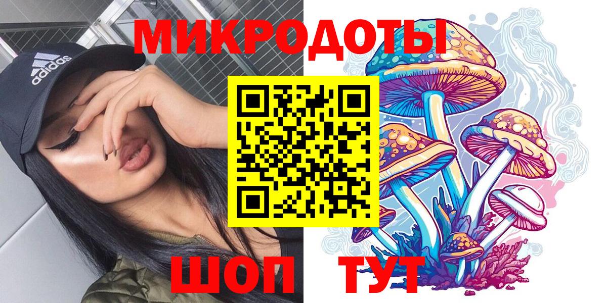Галлюциногенные грибы Psilocybe Знаменск