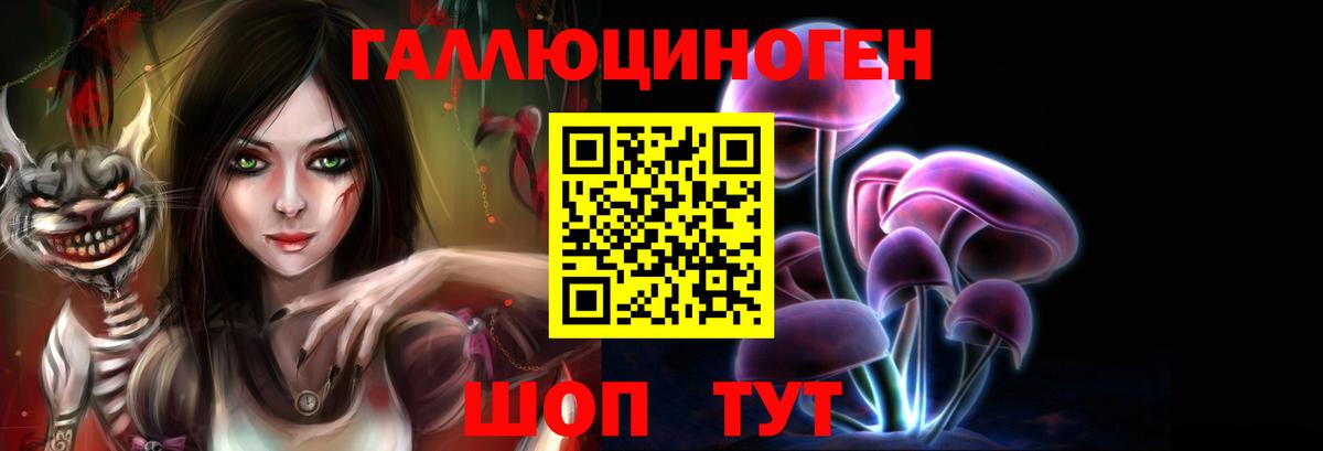 Галлюциногенные грибы Psilocybe  Вход с VPN  Знаменск 